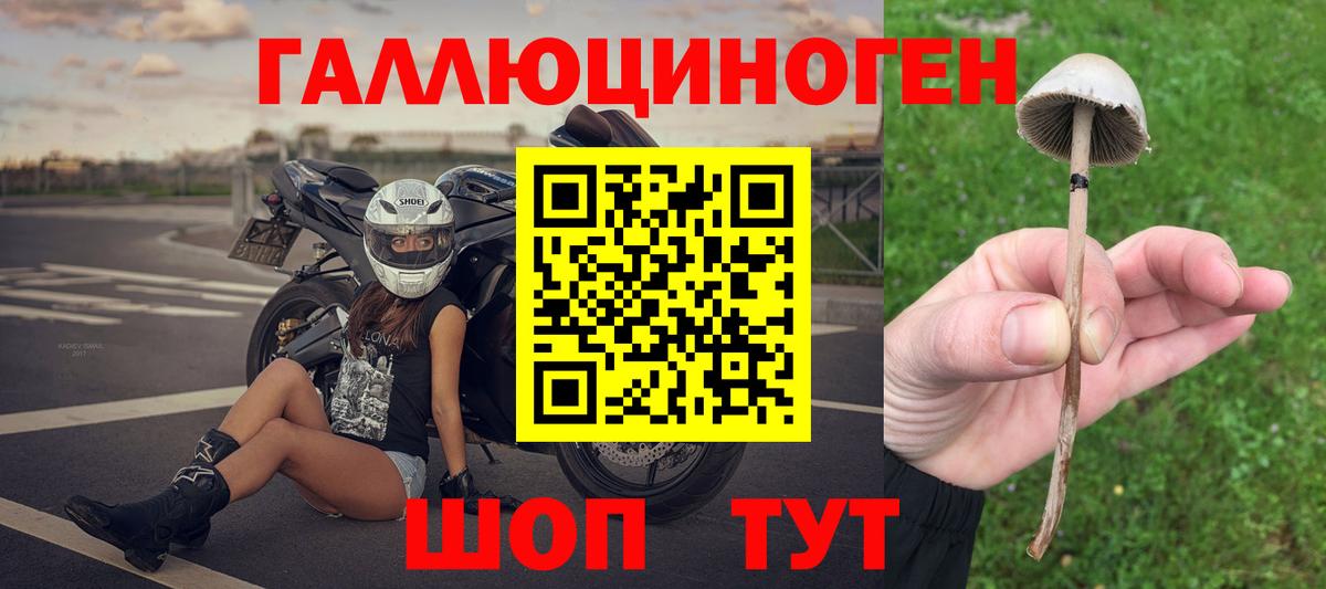 цена   Вход с VPN  Северобайкальск  Галлюциногенные грибы мицелий  Галлюциногенные грибы Psilocybe 